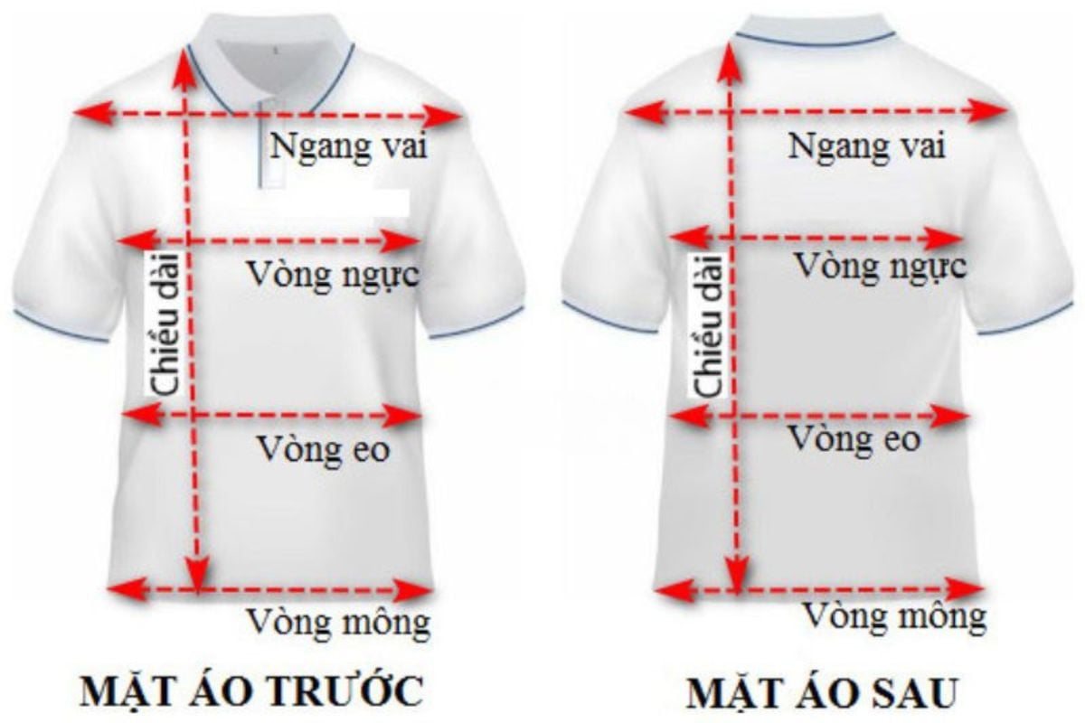 Size áo thường được xác định dựa trên cân nặng, chiều cao hoặc các số đo cơ thể