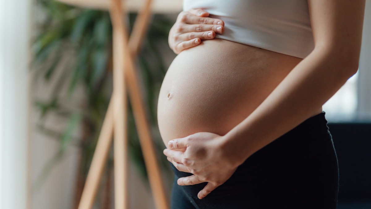 Phụ nữ mang thai không nên uống lá tía tô thường xuyên 