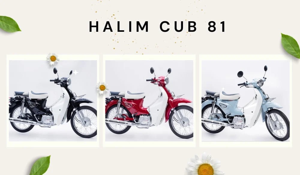 Cub 81 Halim 50cc là lựa chọn tuyệt vời cho các bạn học sinh nữ