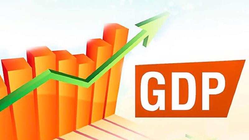 Các nước đang phát triển có đặc điểm là GDP bình quân đầu người thấp do nông nghiệp là nguồn thu nhập chủ yếu 