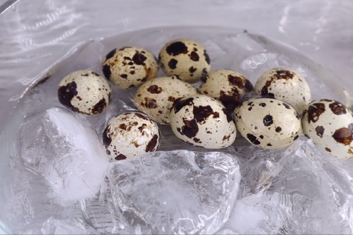 Ngâm trứng cút với nước đá giúp bóc vỏ đơn giản, dễ dàng