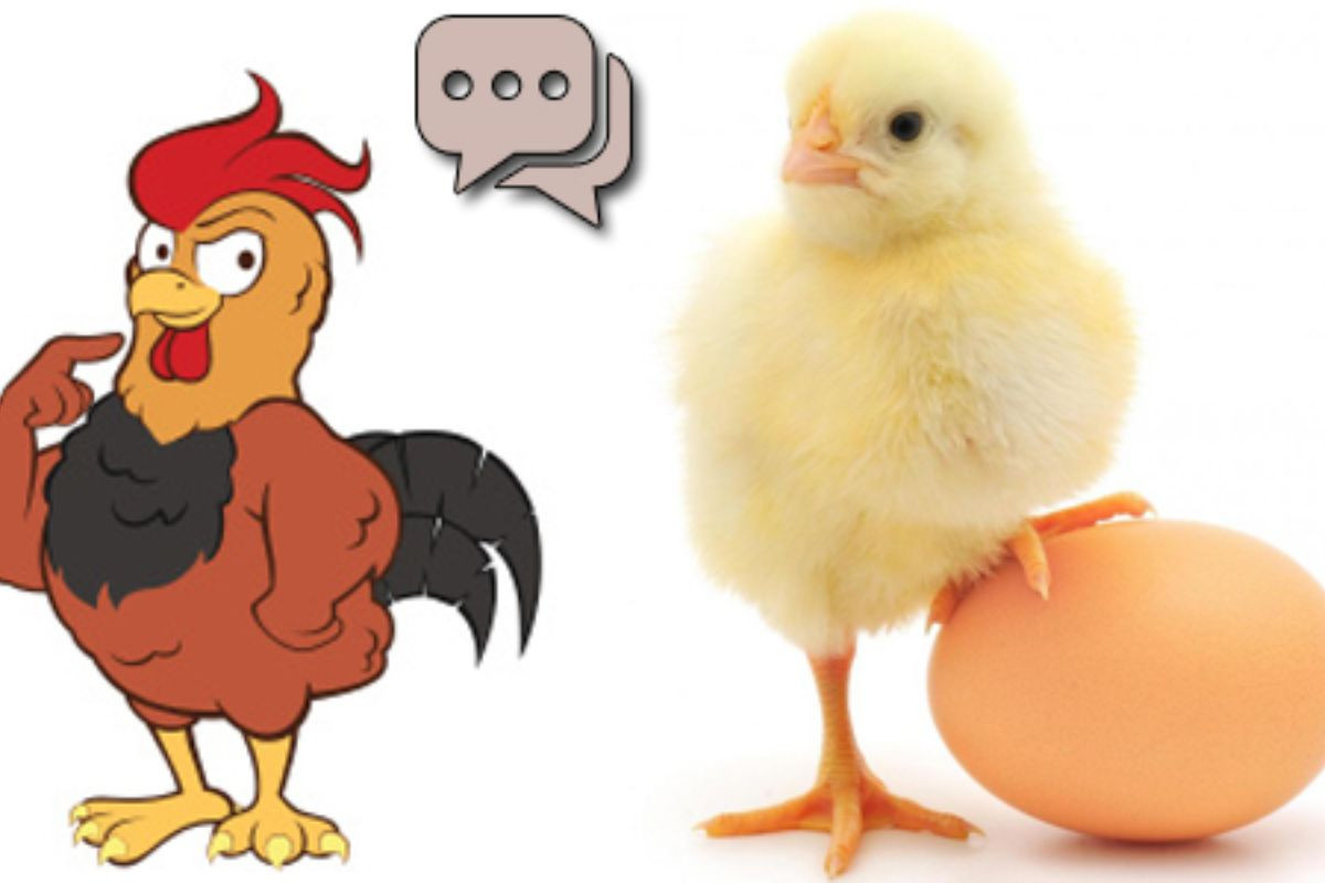 Chủ nghĩa duy vật biện chứng không khẳng định quả trứng có trước hay con gà có trước