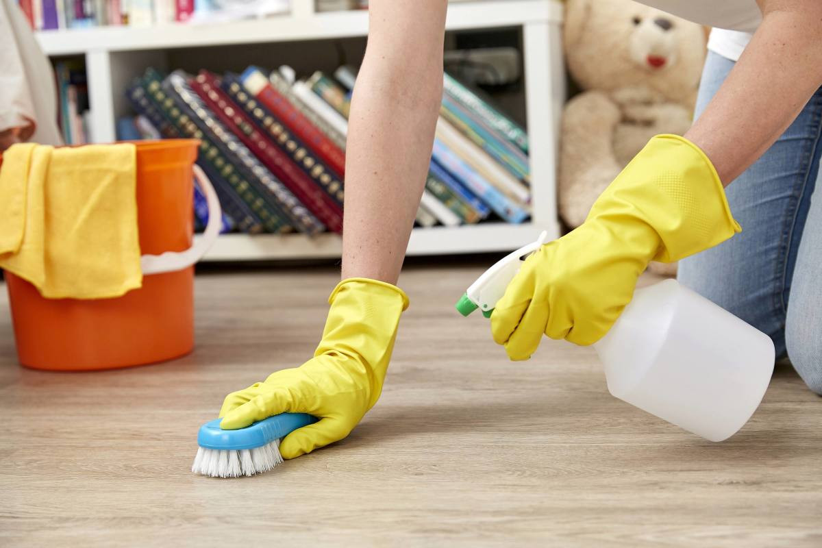 Thường xuyên lau dọn, nhà cửa sạch sẽ để ngăn chuột quay trở lại nhà bạn