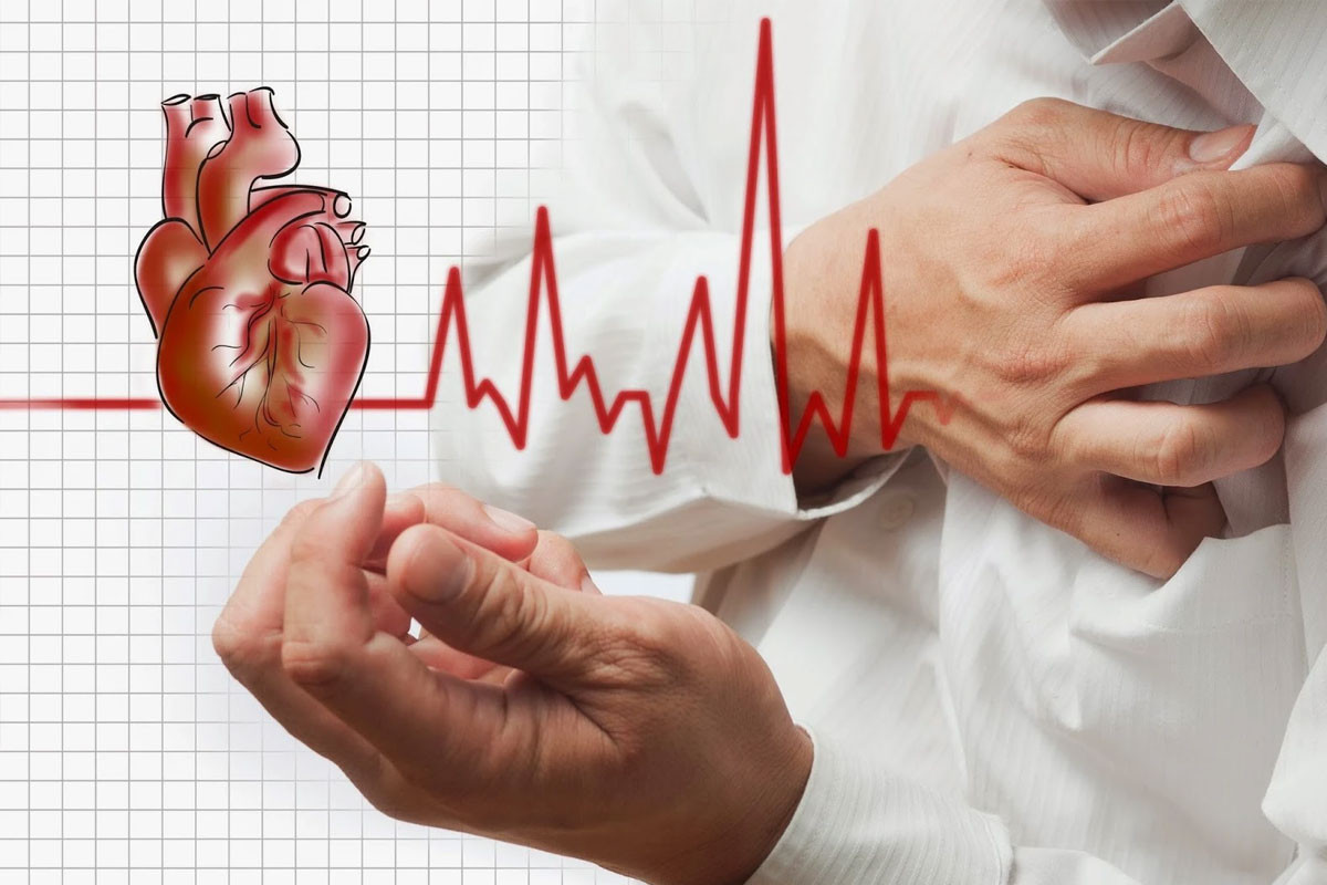 Bảo vệ sức khỏe tim mạch là đáp án thích hợp cho thắc mắc đậu gà có tác dụng gì
