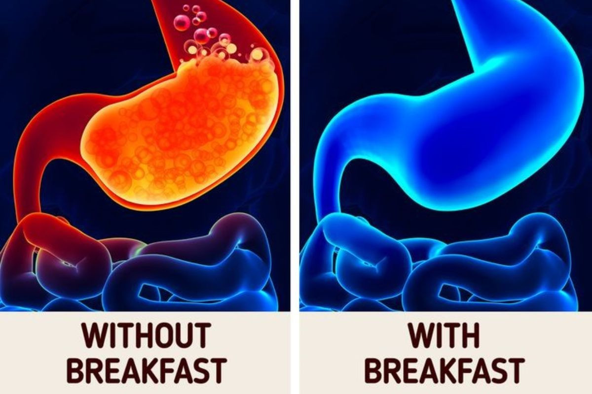 Bạn nên tìm hiểu nhịn ăn sáng có tác hại gì để biết chăm sóc cơ thể đúng cách