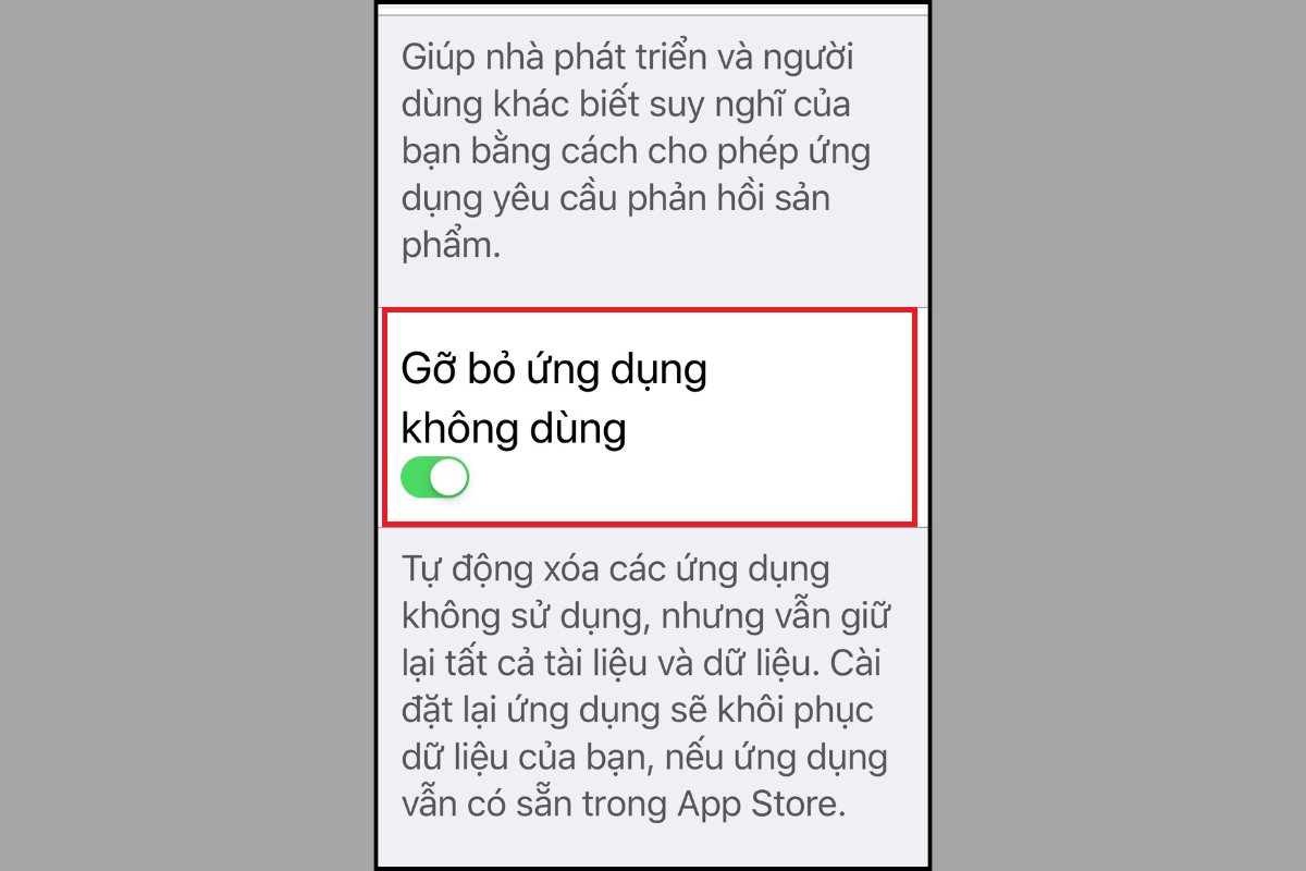 Gạt công tắc để bật tính năng Gỡ bỏ ứng dụng không dùng trên iPhone