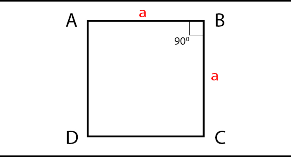 Diện tích hình vuông được xác định bằng cách nhân chiều dài của các cạnh với nhau