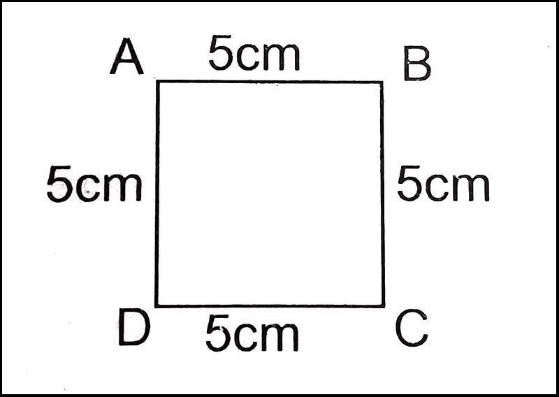 Hình vuông là một loại tứ giác đặc biệt với 4 cạnh bằng nhau