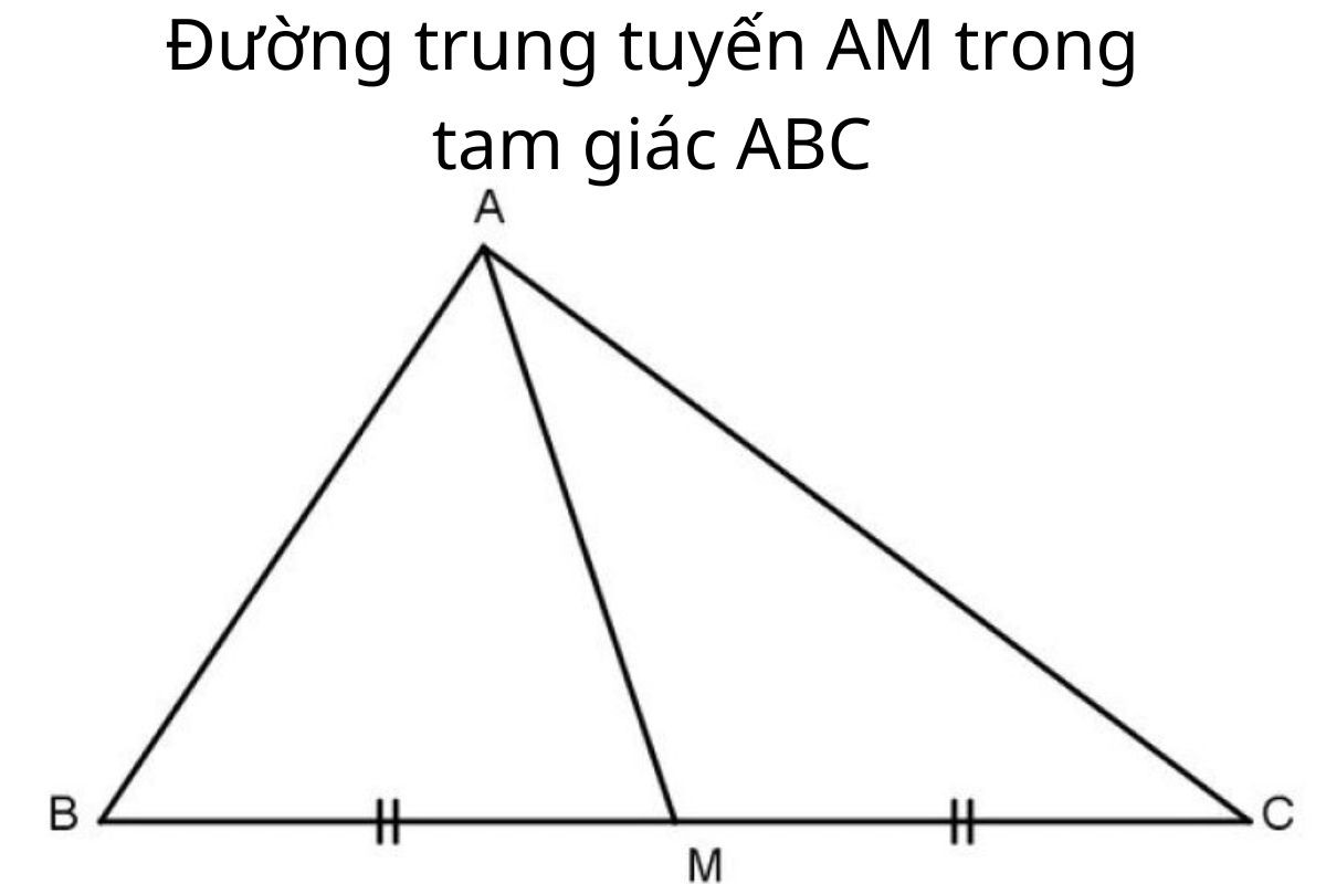 Nắm rõ đường trung tuyến là gì sẽ giúp bạn biết cách vẽ đường trung tuyến trong tam giác và xác định độ dài của nó