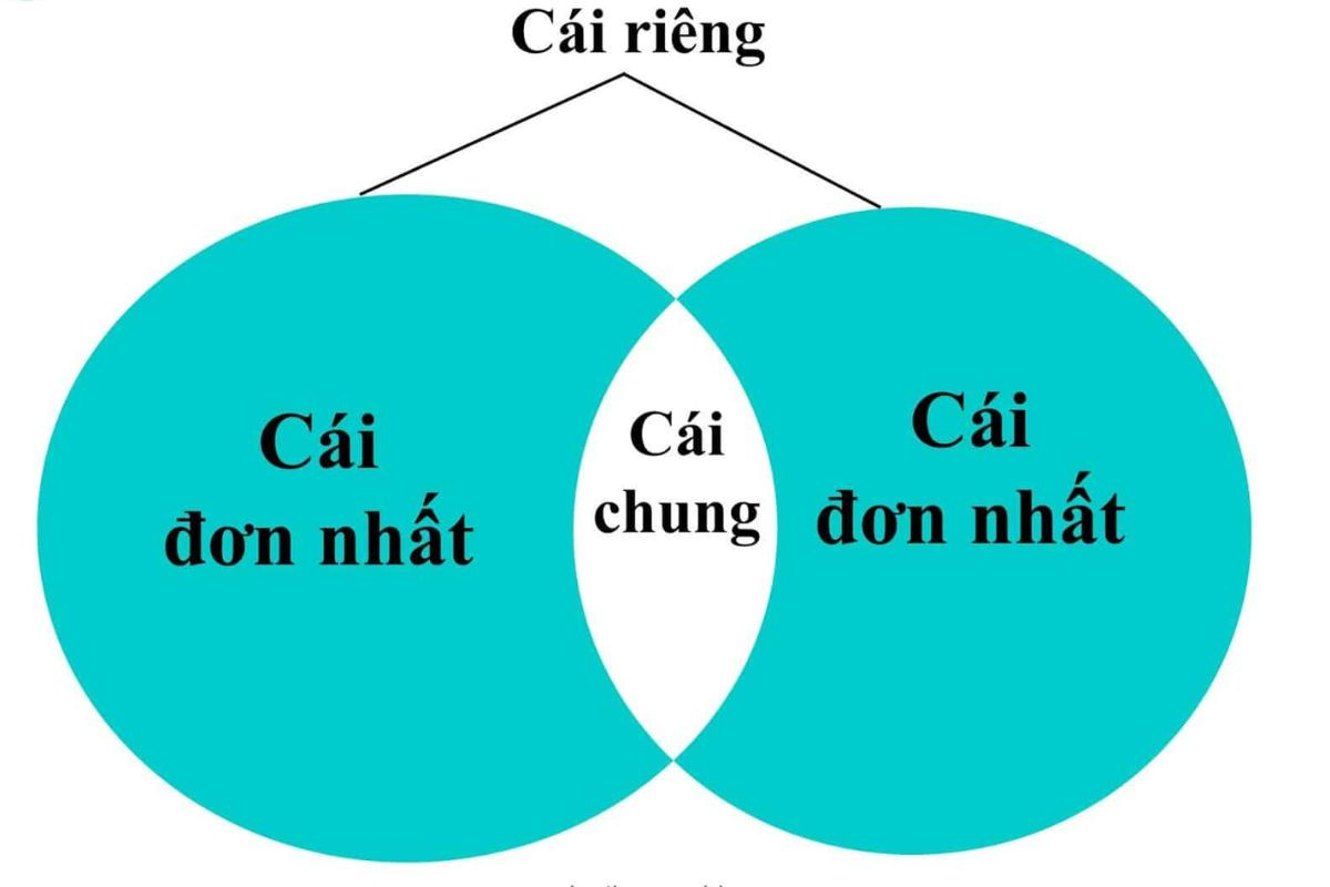 Phạm trù triết học là các khái niệm phổ quát mà triết học ứng dụng để phân tích thực tại 