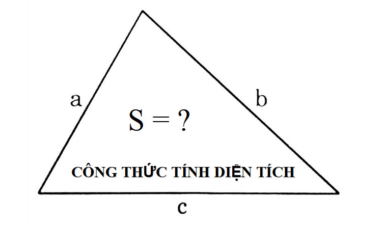 Minh hoạ bài tập áp dụng cách tính diện tích hình tam giác