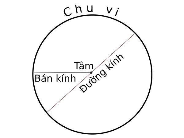 Cần nắm được các thuật ngữ liên quan đến diện tích hình tròn trước khi tính toán