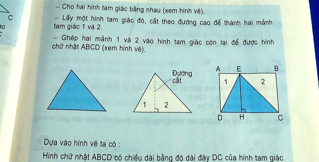 Bài tập về diện tích hình tam được giác rất thường gặp trong toán học