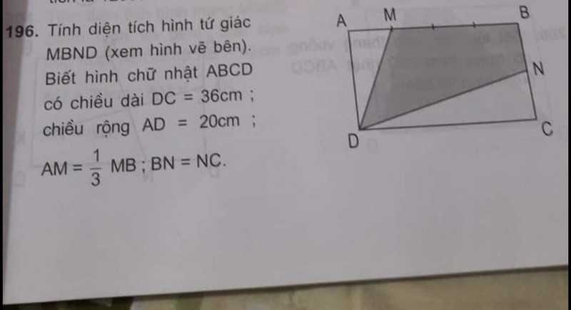 Việc nắm vững các công thức tính diện tích hình tứ giác là rất quan trọng