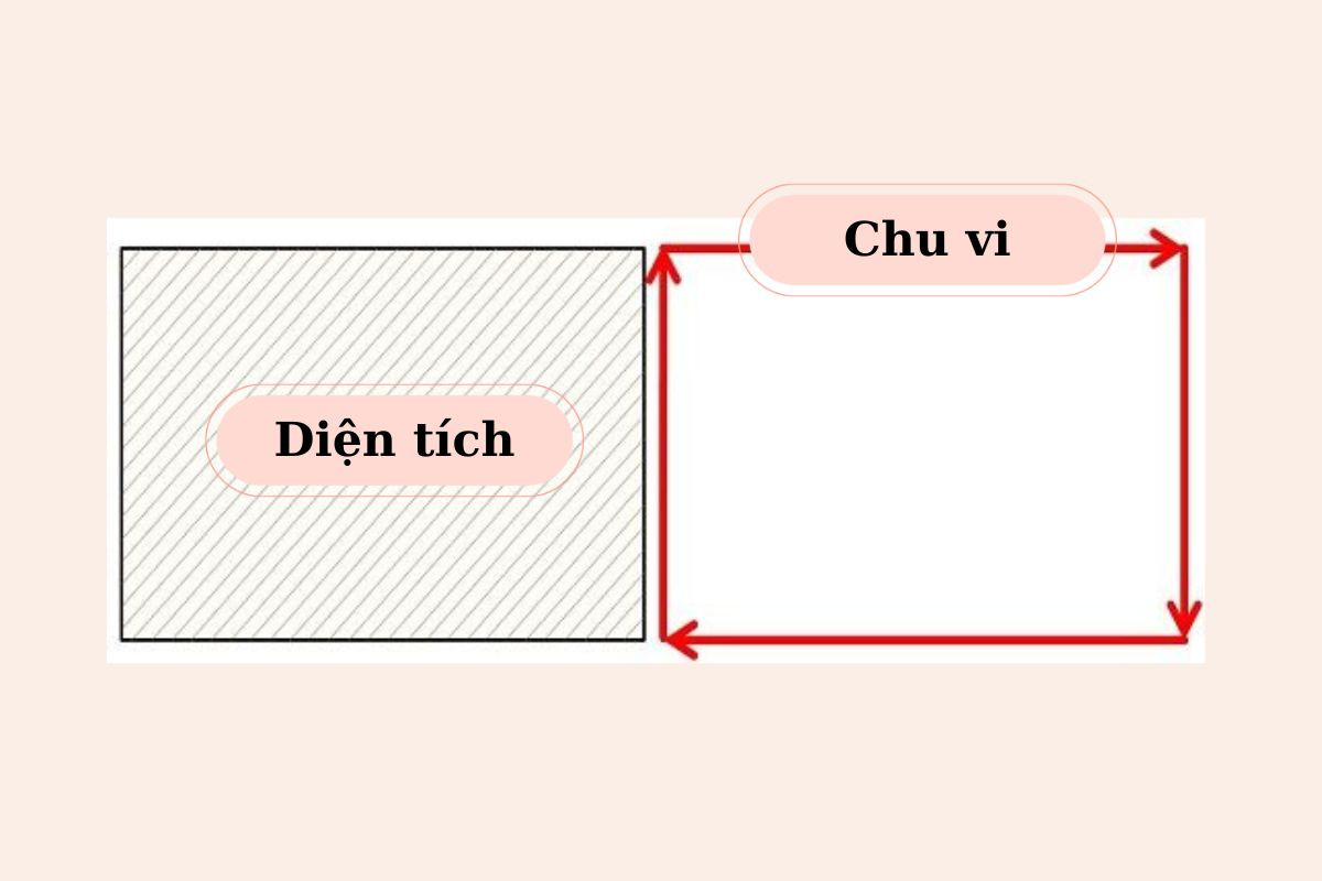 Hiểu đúng để tránh nhầm lẫn giữa chu vi và diện tích hình chữ nhật