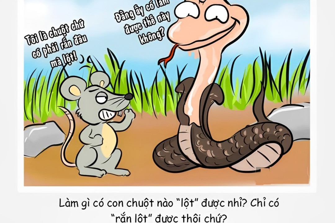 Tìm hiểu câu thành ngữ là gì để sử dụng thành ngữ đúng mục đích, đúng ngữ cảnh