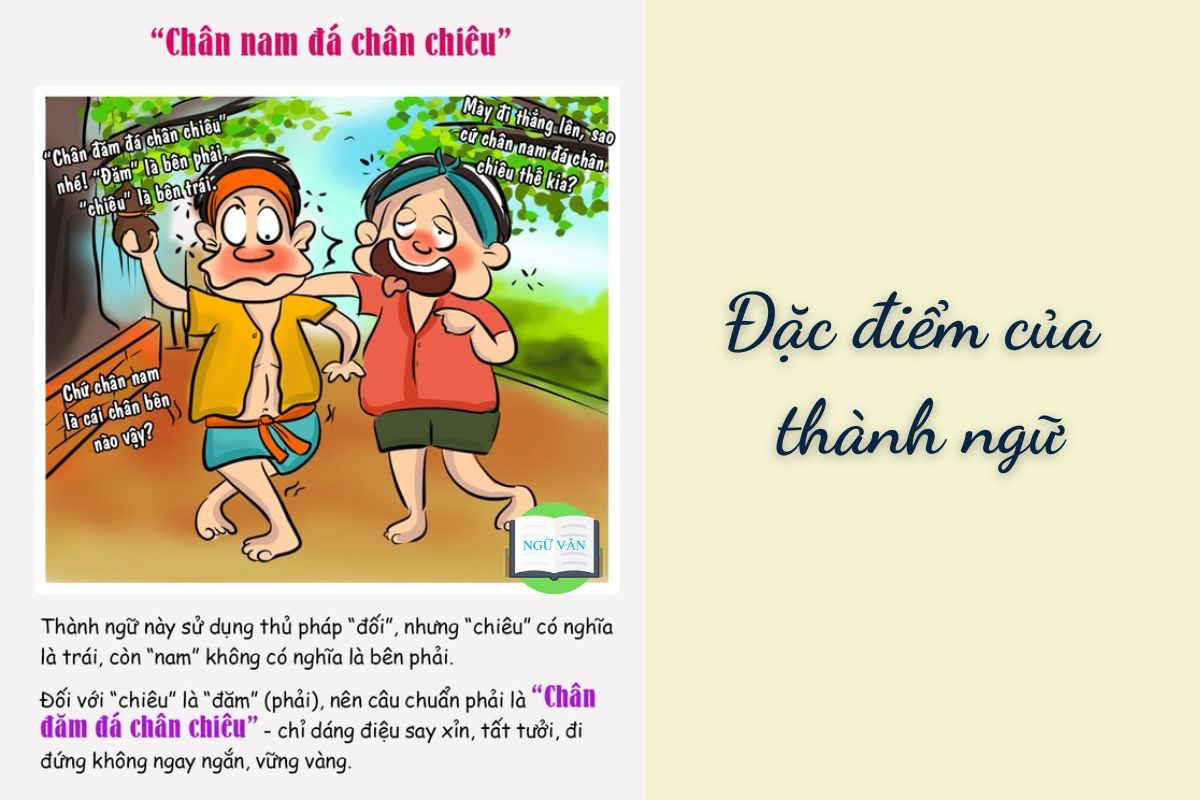 Thành ngữ là một cụm từ ngắn gọn, súc tích và không phải là câu hoàn chỉnh