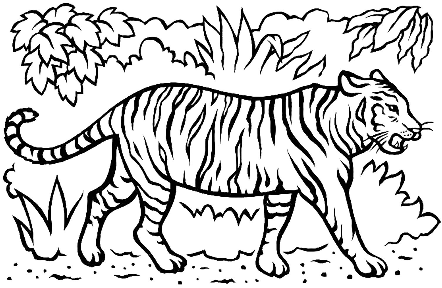 Bộ tranh tô màu con hổ đầy sinh động giúp bé khơi dậy tính sáng tạo