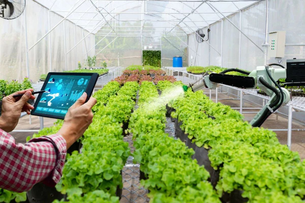  Ngành nông nghiệp công nghệ cao mang đến cơ hội việc làm rộng mở cho các bạn trẻ