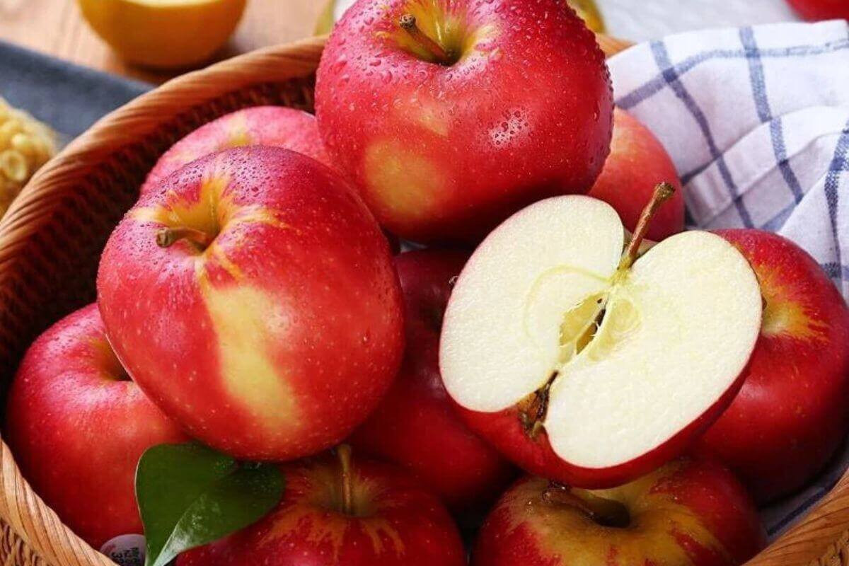 Mỗi ngày chỉ nên ăn từ 1 - 2 quả táo để không gây hại cho sức khỏe 