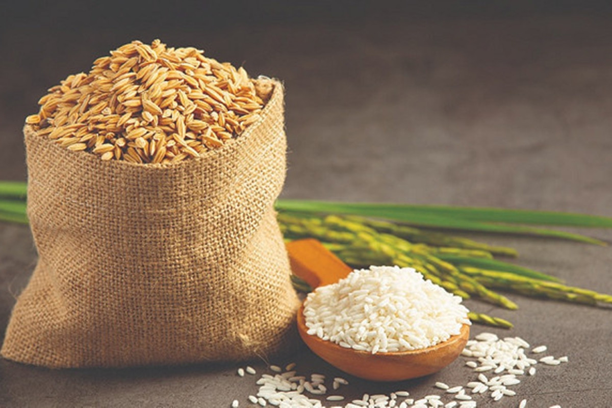 Giá lúa gạo hôm nay ngày 31/5: Giá gạo không có nhiều thay đổi so với hôm qua