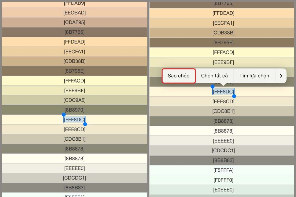 Chọn mã màu với màu sắc tương ứng, sau đó nhấn Sao chép
