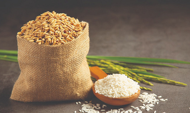 Giá lúa gạo hôm nay ngày 8/6: Biến động trái chiều ở mặt hàng gạo