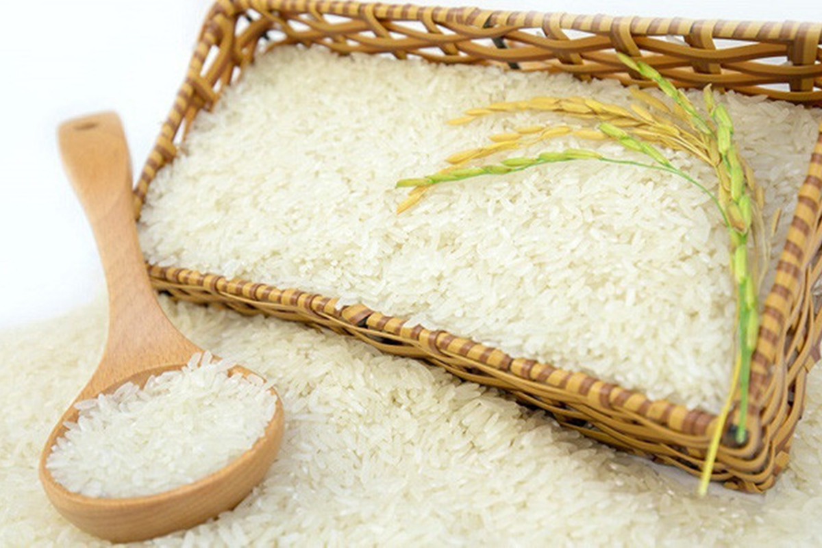 Giá lúa gạo hôm nay ngày 9/6: Ổn định hơn so với nhiều ngày qua