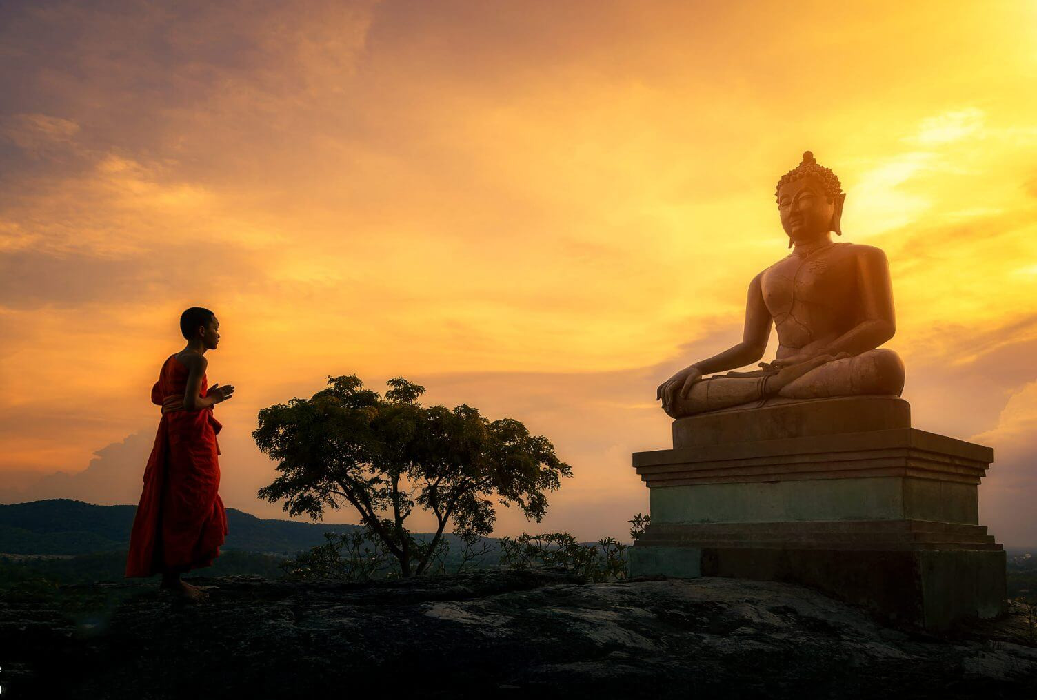 Những Stt Phật dạy về luật nhân quả giúp giác ngộ chân lý cuộc đời