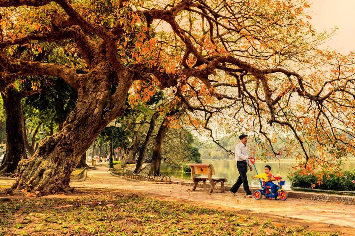 Chào đón mùa thu với những dòng trạng thái caption siêu hay và ý nghĩa