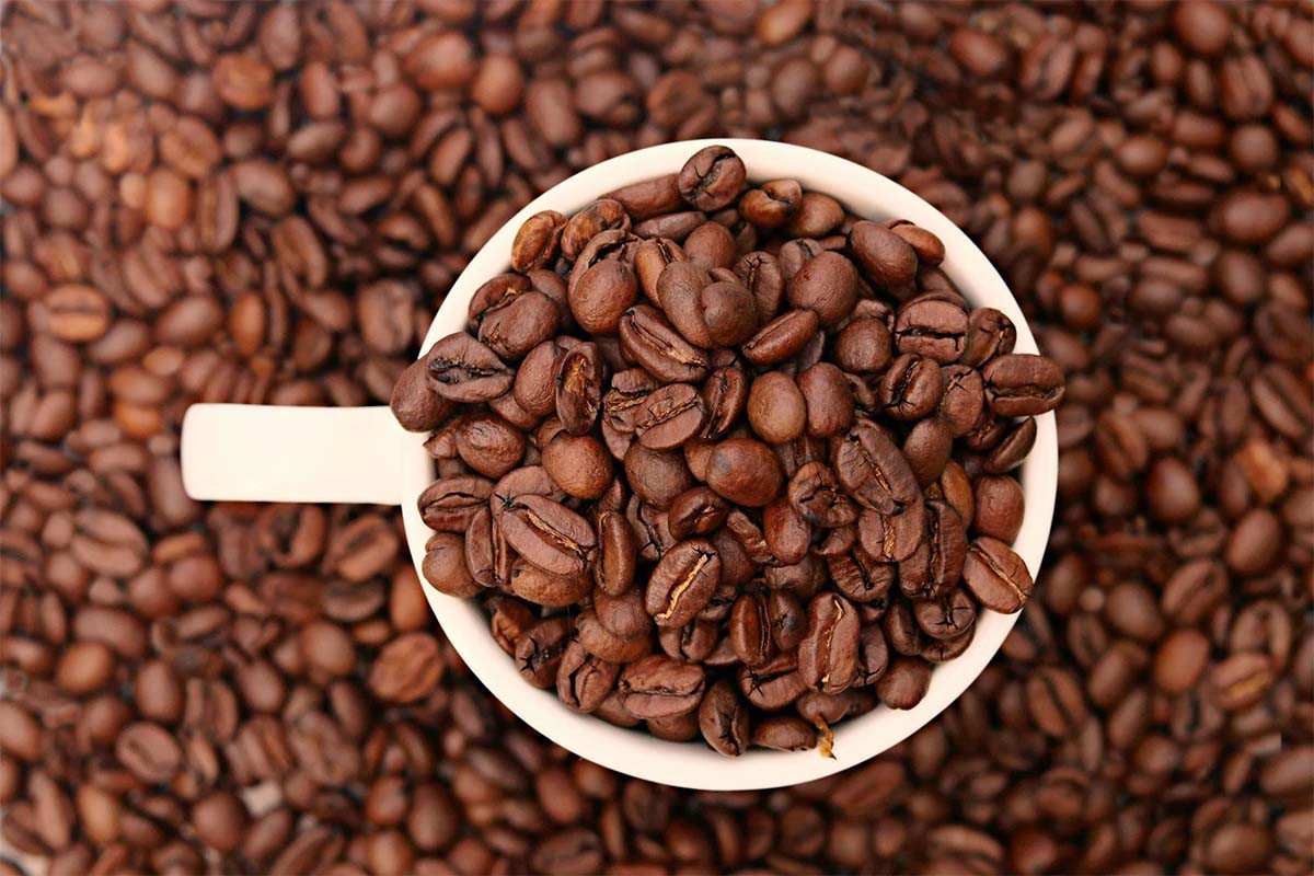 Giá cà phê hôm nay 16/6 lao dốc giảm 1.600 đồng/kg ở thị trường trong nước