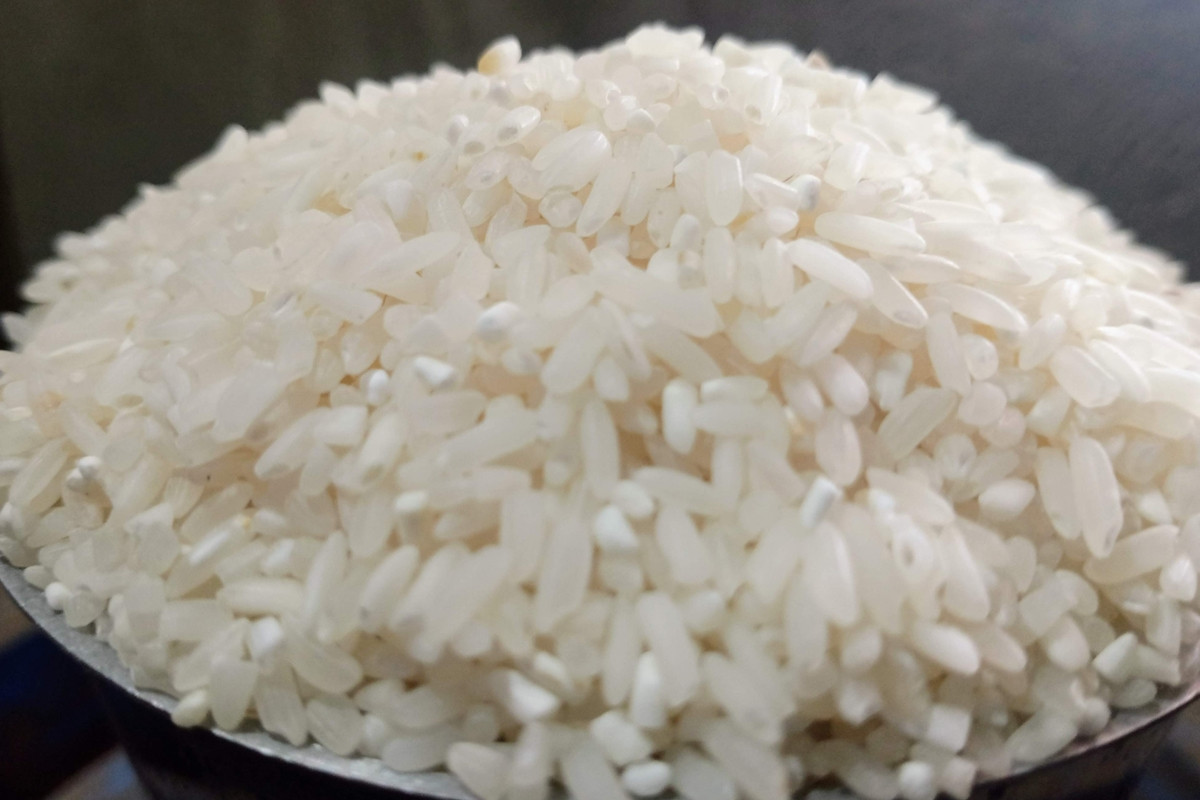 Giá lúa gạo hôm nay ngày 16/6: Mặt hàng gạo vẫn duy trì với mức giá ổn định, nhưng vẫn còn biến động nhẹ
