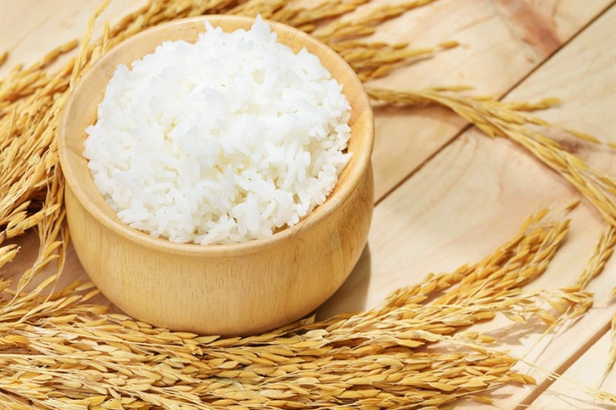 Giá lúa gạo hôm nay ngày 20/6: Mặt hàng gạo duy trì ổn định