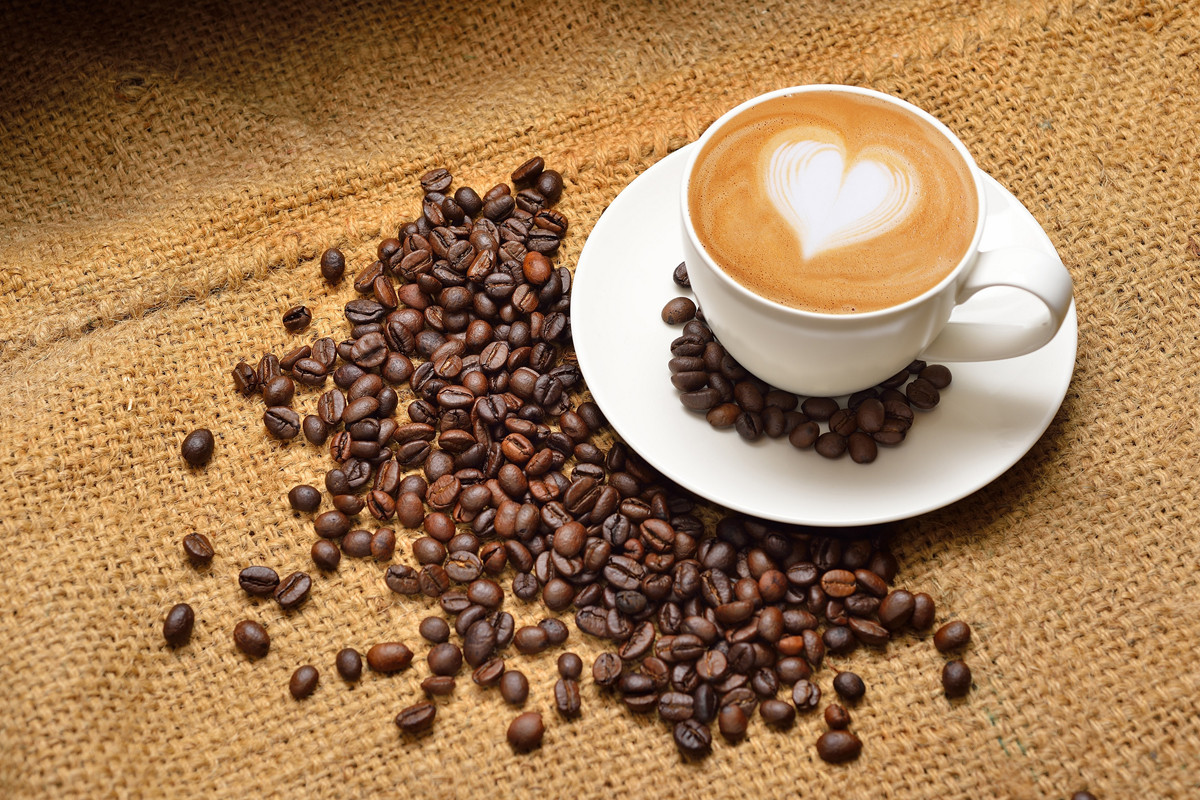 Giá cà phê hôm nay ngày 21/6 quay đầu tăng trở lại, nằm trong khoảng 120.000-121.000 đồng/kg